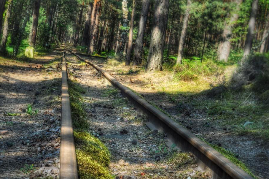 TRASA ROWEROWA WŁADYSŁAWOWO - HEL