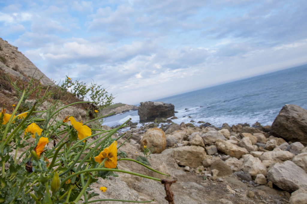 Watershoot Isle of Wight