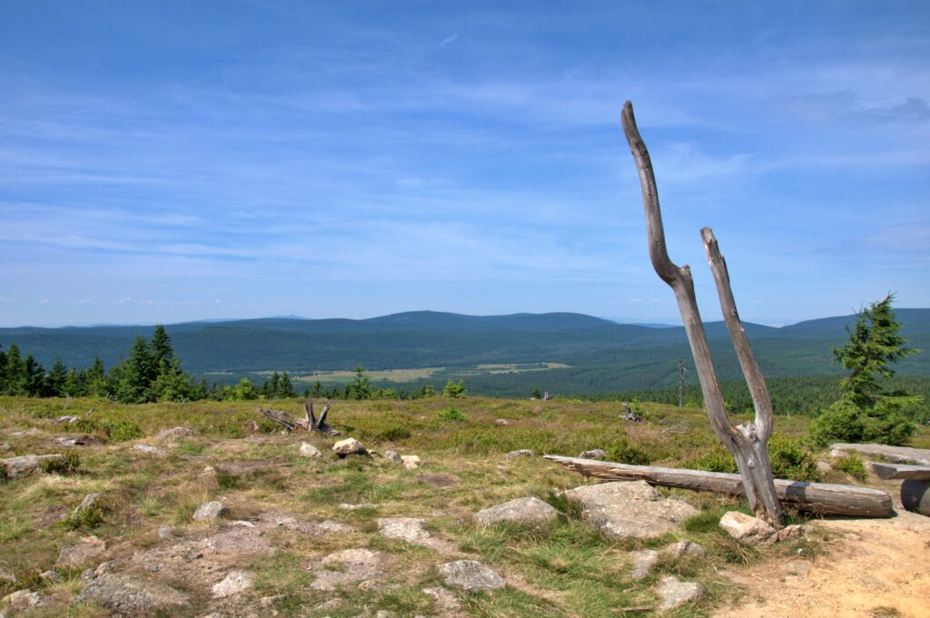 Szlak na Wysoką Kopę